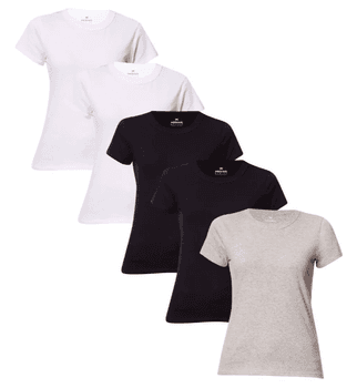 kit-com-5-camisetas-basicas-feminina-hering - Imagem